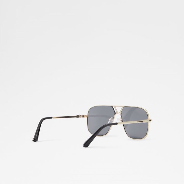 Aldo Adrerarid Solglasögon Herr Black-Gold Multi | fIWppihC