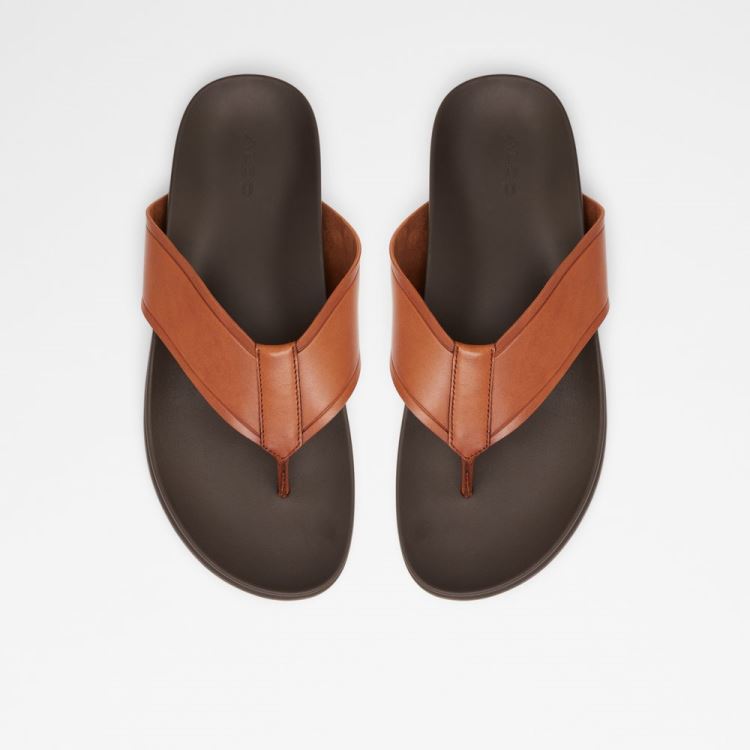 Aldo Afuthien Sandaler Herr Cognac | rwdad2zJ