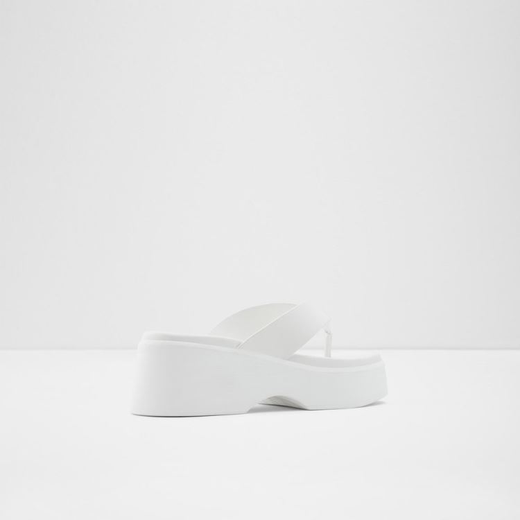 Aldo Delphy Kilklack Dam Vita | vaUHi3i6