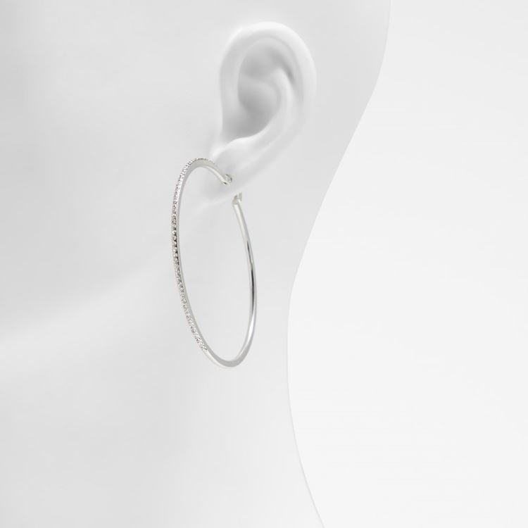 Aldo Eryri Örhängen Dam Silver-Clear Multi | sktm809L