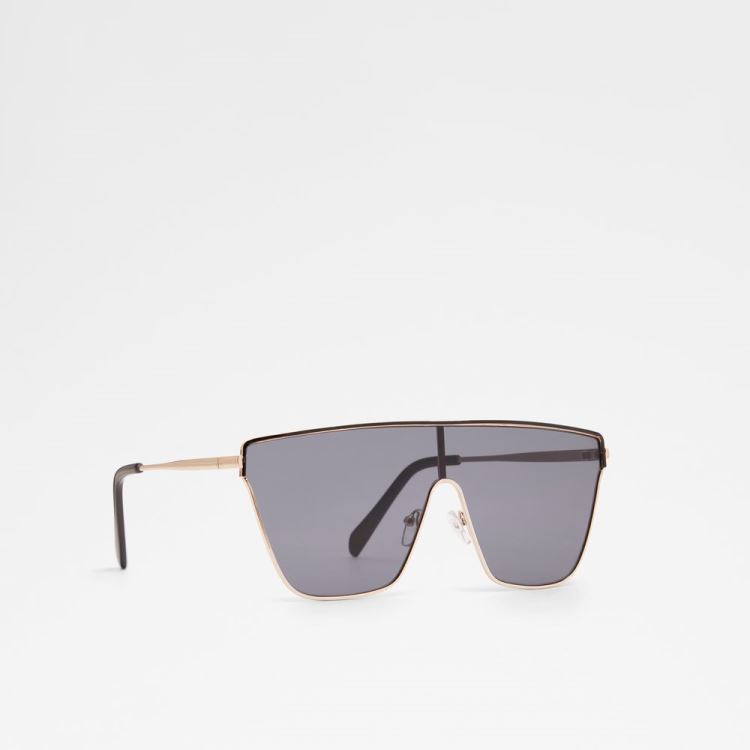 Aldo Merchiston Solglasögon Herr Black-Gold Multi | T3YeMJPs