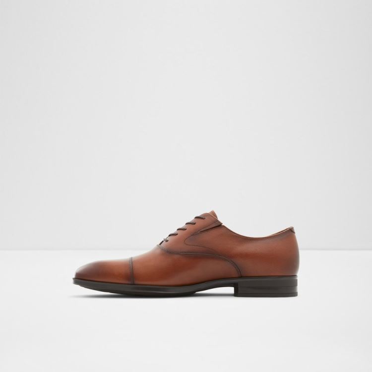 Aldo Miraylle Oxford Skor Herr Cognac | 5TLZl0jz