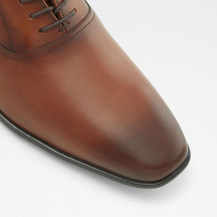Aldo Nathon Oxford Skor Herr Cognac | 07j9WEoG