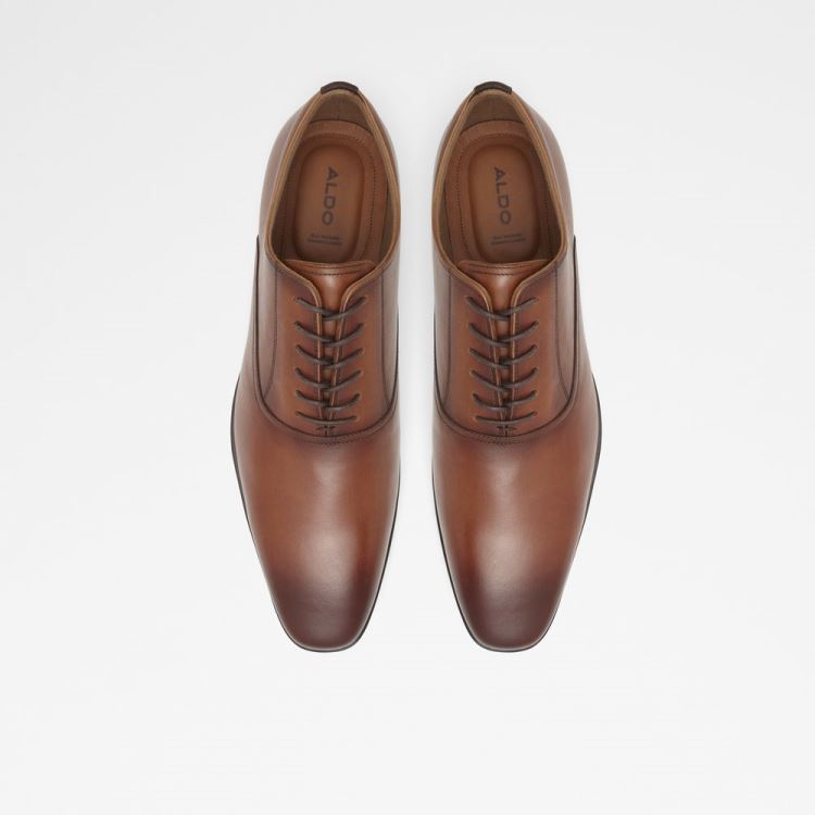 Aldo Nathon Oxford Skor Herr Cognac | 07j9WEoG