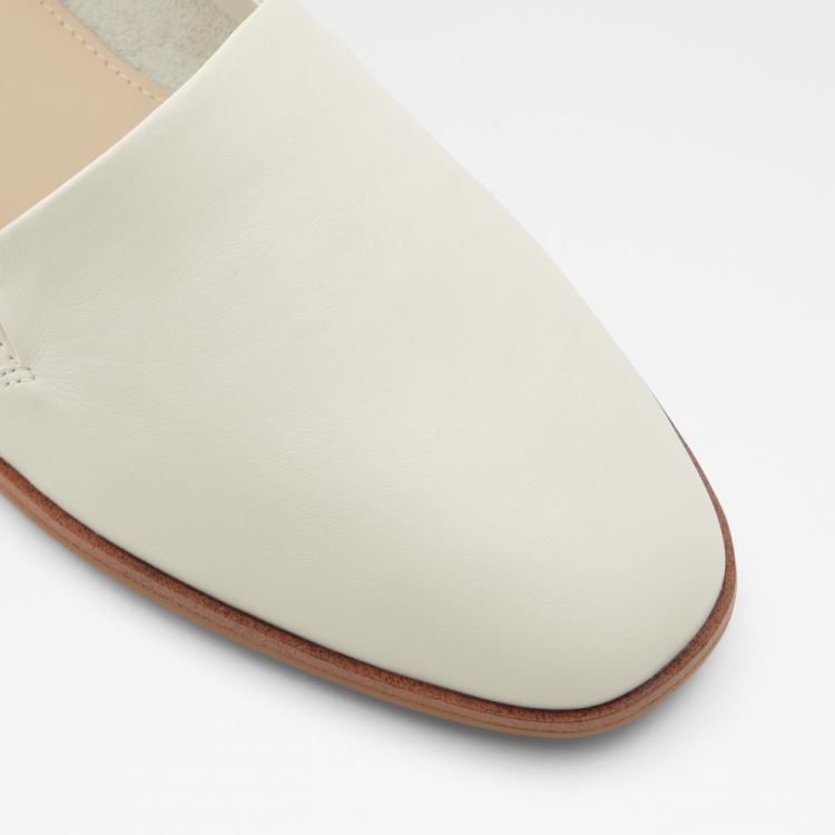 Aldo Veadith Slip On Dam Vita | nPkkf8Mj